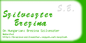 szilveszter brezina business card